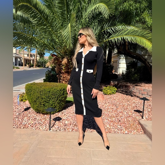Dresses & Skirts - 227 ‘Alex’ Elegant Black and White Button-Down Dress